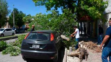 El temporal de viento causó daños en Roca. Foto: Cesar Izza
