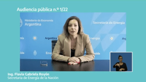 Reviví la tercera jornada de la audiencia pública por el primer pozo offshore en costas bonaerenses