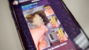 Usaban Telegram para vender droga cerca de una escuela en Chos Malal