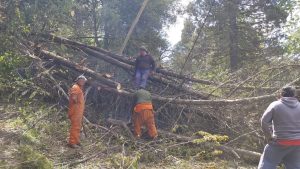 Caída de árboles y voladuras de techos por ráfagas de hasta 100 kilómetros en Bariloche