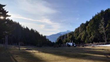 Denunciaron que talaron árboles de un bosque nativo en Villa Traful. Foto: gentileza