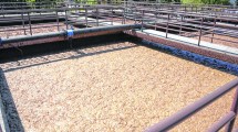 Imagen de Alarma en San Martín de los Andes: las plantas depuradoras están al límite