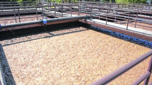 Alarma en San Martín de los Andes: las plantas depuradoras están al límite