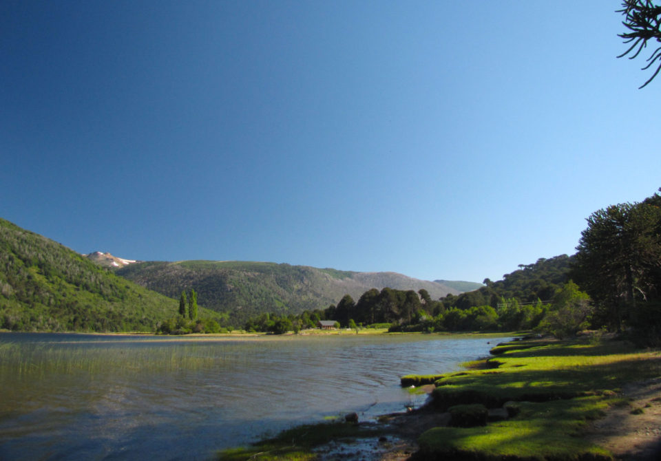 El lago Ruca Choroy se localiza al oeste de Aluminé, recorriendo un total de 25 km aproximadamente.