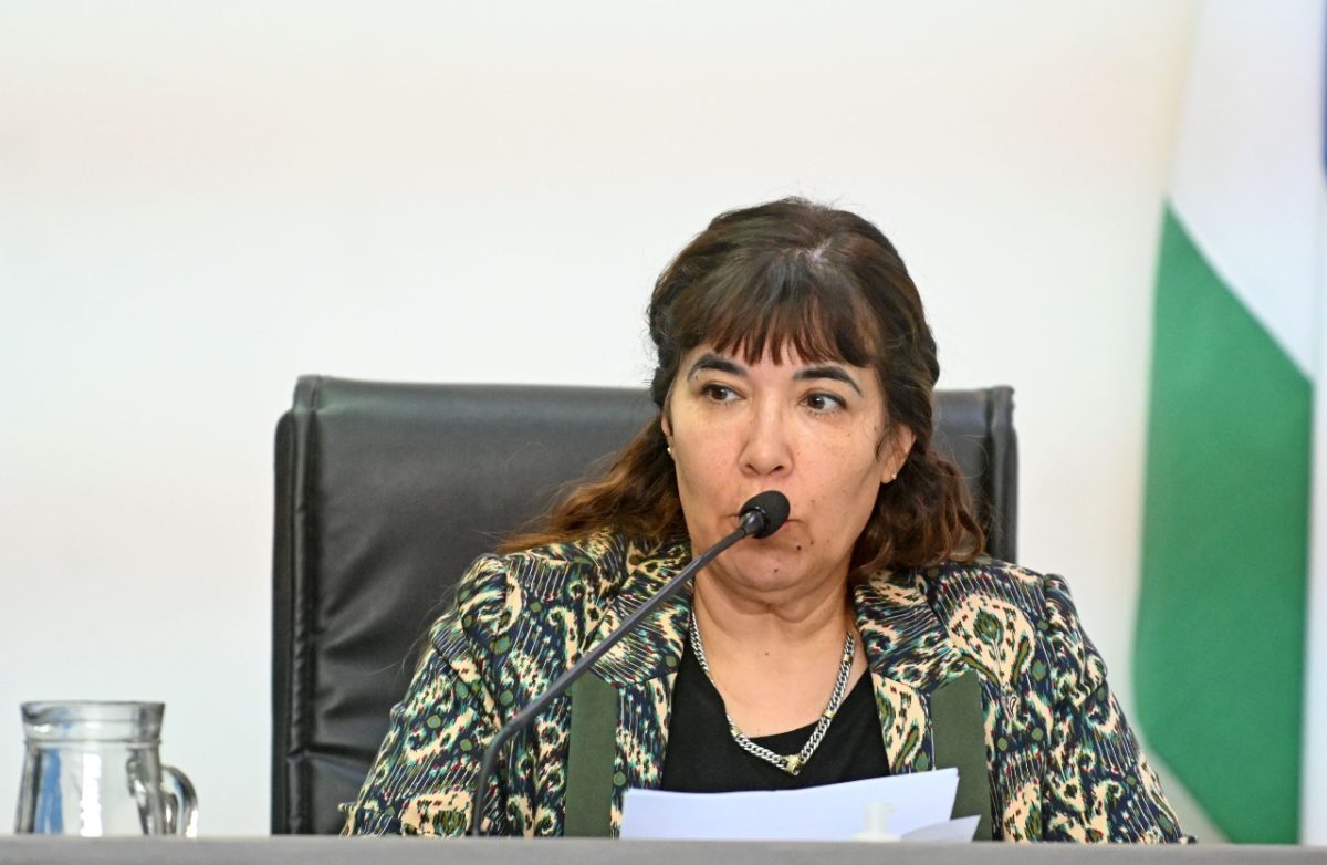 La jueza de la causa, Alejandra Berenguer. (Florencia Salto) 