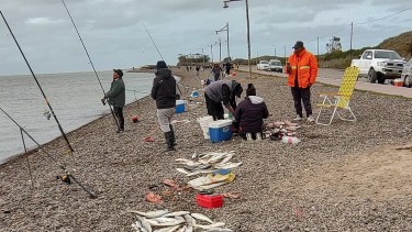 Secretos de la pesca en Bahía San Blas: «es el mejor momento para venir»