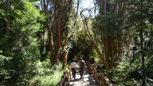 Proponen que Parques Nacionales incluya a las provincias en la toma de decisiones ambientales