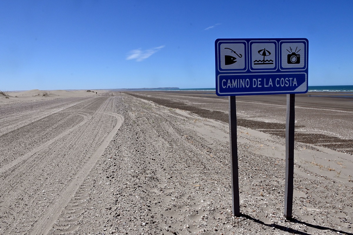 el camino en cercanías de Caleta de Los Loros. Foto: Marcelo Ochoa.