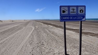el camino en cercanías de Caleta de Los Loros. Foto: Marcelo Ochoa.