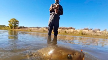 La normativa entrará en vigencia en las próximas semanas. Foto gentileza