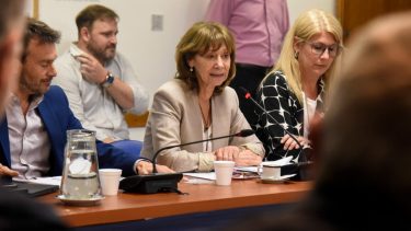 La Comisión de Finanzas continuó con el debate del tratamiento de los proyectos para darle solución a los tomadores de créditos hipotecarios UVA. (Twitter).-