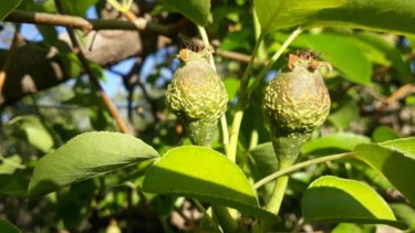 "Se mantiene la inestabilidad hacia el fin de semana", advirtieron desde la AIC. 