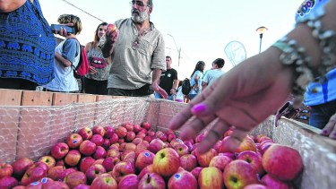 Productores y trabajadores ligados a la producción frutícola serán destacados en la edición 2023. Foto ilustrativa (archivo)