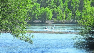 El “no” al trasvasamiento del río Negro