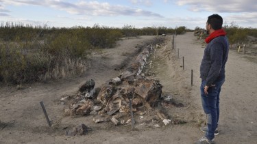 El Área Natural Protegida Bosque Petrificado. Foto: Archivo José Mellado. 
