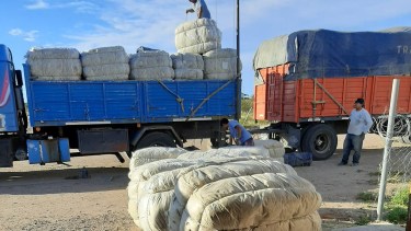 La venta de lana en forma conjunta vuelve a arrojar buenos resultados a pequeños productores de la Región Sur. Foto: gentileza. 