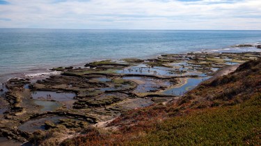Abrieron las playas en la zona de La Lobería afectadas por la gripe aviar