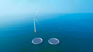 China puso en marcha el primer proyecto solar y eólico en alta mar del mundo