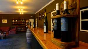 Aniversario Villa Regina: Producción, recorrido y degustación