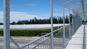 Robaron tejidos de alambre en una pasarela peatonal sobre la Ruta 22 en Huergo