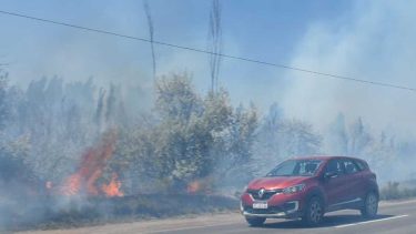 Cerca de las 14, la visibilidad era muy escasa en la zona de J.J. Gómez. (foto: Juan Thomes)