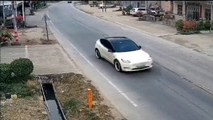 Video: un auto Tesla, fuera de control, mató a dos personas en China