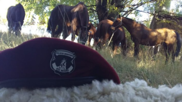 En el caso interviene el fiscal Gastón Britos. Foto archivo