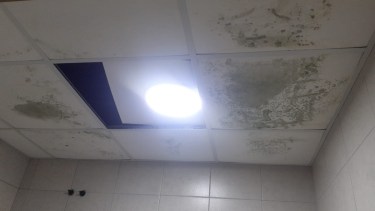 Una Fundación pide ayuda para poder abrir sus puertas. foto: Fundación Seno