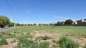 Impulsan la creación de residencias para la UNCo en Cipolletti