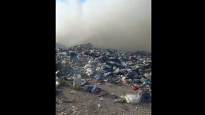 Preocupación por los incendios intencionales en el complejo ambiental de Neuquén