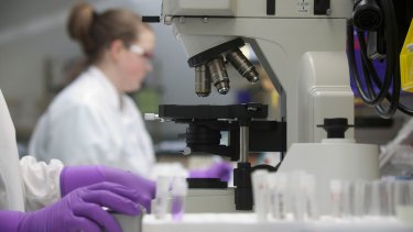 Comenzó en la Argentina fase 2 de estudio para primer tratamiento contra Síndrome Urémico Hemolítico