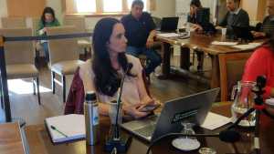 Emergencia habitacional en Bariloche: los concejales volvieron a convocar a la presidenta del Instituto de Tierras