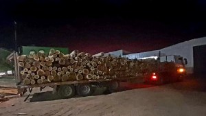 Secuestraron 48 toneladas de rollizos transportados en forma irregular en Chichinales