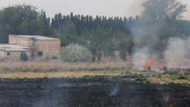 El fuego afectó una chacra que ya se había quemado en la noche del lunes. (Fotos Juan Thomes)