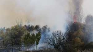 Incendio de pastizales afectó por segunda vez en pocas horas una chacra en Roca