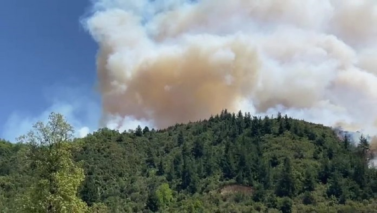 El humo de los incendios en Chile llegó a Neuquén. Foto Gentileza