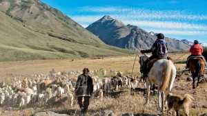 El plan más emocionante para el finde largo en la Patagonia: los arreos en el norte neuquino