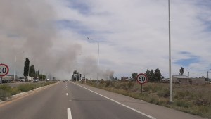 Vuelven a arder los pastizales de Senillosa y no descartan que haya sido algo intencional