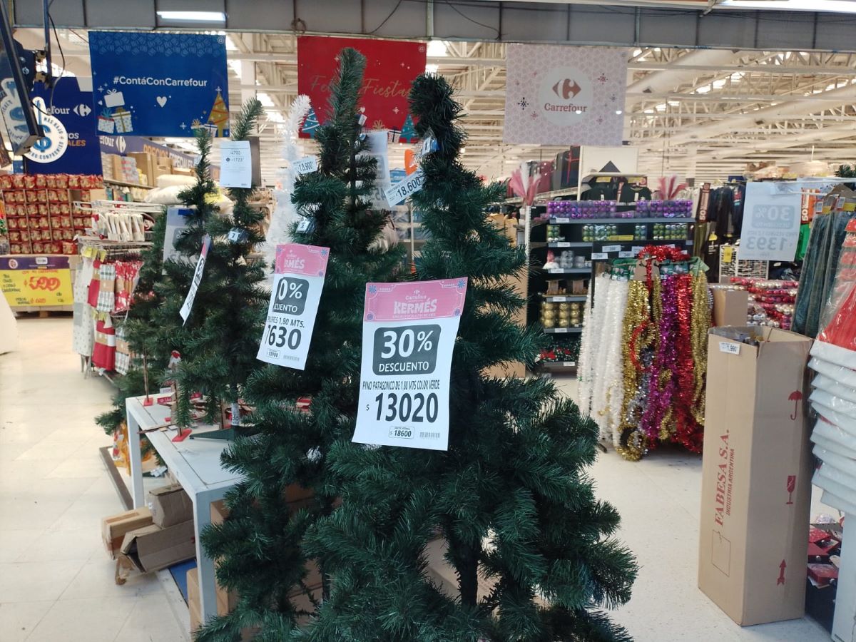 Los precios de los árboles de Navidad duplicaron su precio. Foto: Yamil Regules