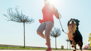 Los beneficios del ejercicio físico en perros y gatos