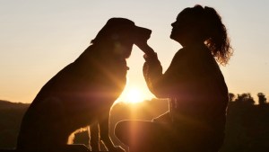 Comunicación Interespecies: el don de entender y poder comunicarse con los animales