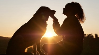 Comunicación Interespecies: el don de entender y poder comunicarse con los animales