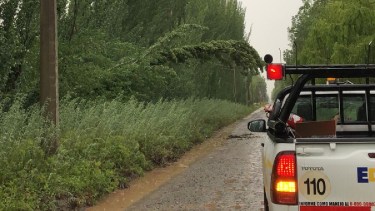 Tormentas en el Alto Valle: ciudad por ciudad cuál es el estado del servicio eléctrico