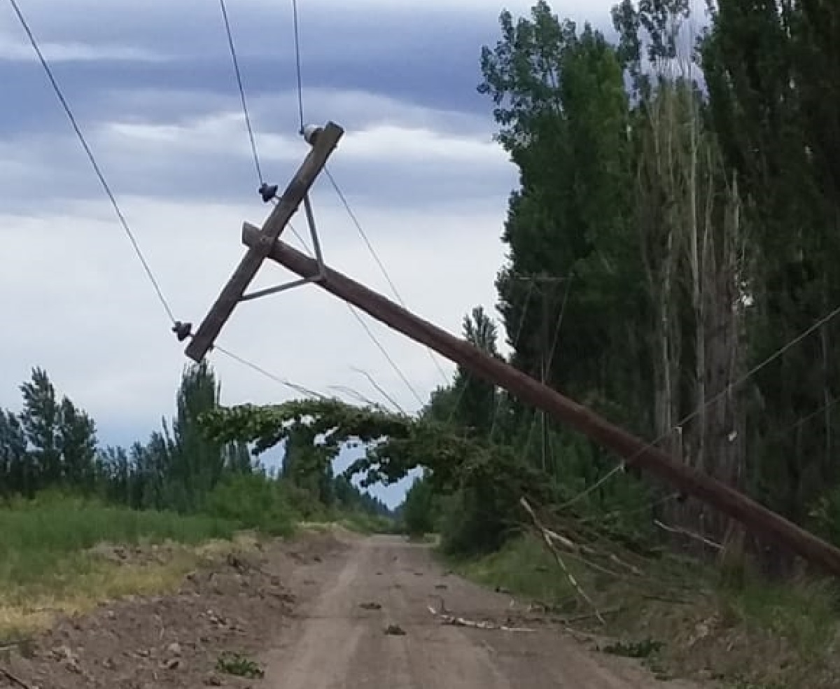 Ramas, árboles y postes del tendido eléctrico cayeron por la tormenta en la región. (Foto gentileza)