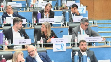 Legisladores, la senadora García Larraburu y exfuncionarias se refirieron al escándalo de la reunión secreta y los chats de Lago Escondido. Archivo