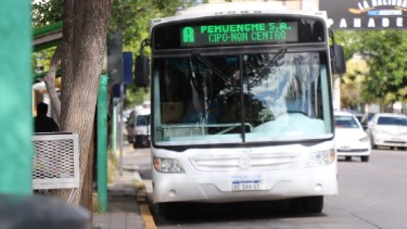 El servicio de trasporte se suspende  el domingo en Cipolletti. Foto: Gentileza. 