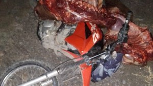 Formularon cargos a un hombre por abigeato en Viedma y pasará Año Nuevo en prisión