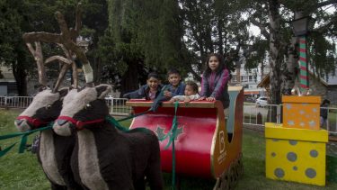 Los renos están en el patio de la casa de Papá Noel, en Bariloche. Foto: Marcelo Martinez