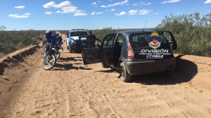 Metieron siete chivitos en el baúl de un auto, pero los atraparon antes que huyan del campo de Cutral Co