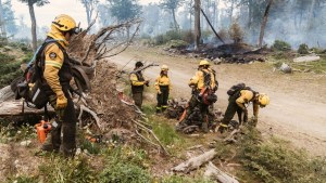 Incendio forestal en Tierra del Fuego: contienen las llamas en la reserva natural y llegaron más brigadistas